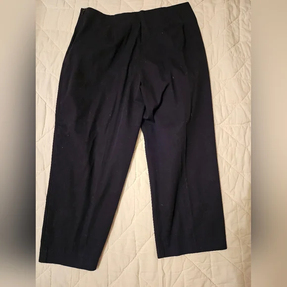 Briggs New York Black Straight Leg Capri -Floral embroidery - Picture 2 of 9